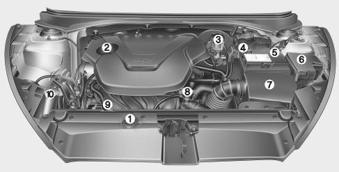 1. Engine coolant reservoir 2. Engine oil filler cap 3. Brake/clutch* fluid