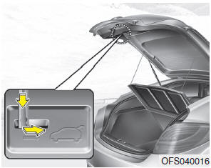 Your vehicle is equipped with the emergency tailgate safety release located on