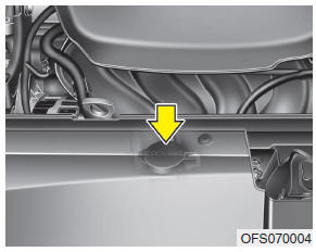 Check the condition and connections of all cooling system hoses and heater hoses.