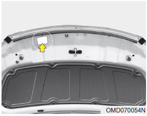 The refrigerant label is located on the underside of the hood.