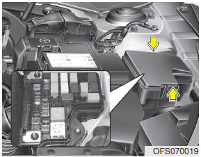 1. Turn the ignition switch and all other switches off. 2. Remove the fuse